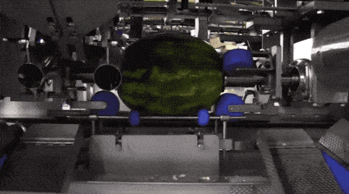 吃瓜摊牌,吃瓜群众如何摊牌成为焦点