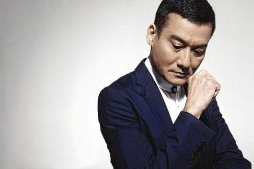 国内电视明星男